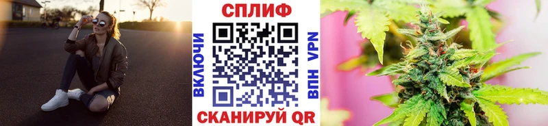 Конопля сатива Зубцов